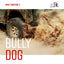 Chien intimidateur 40384