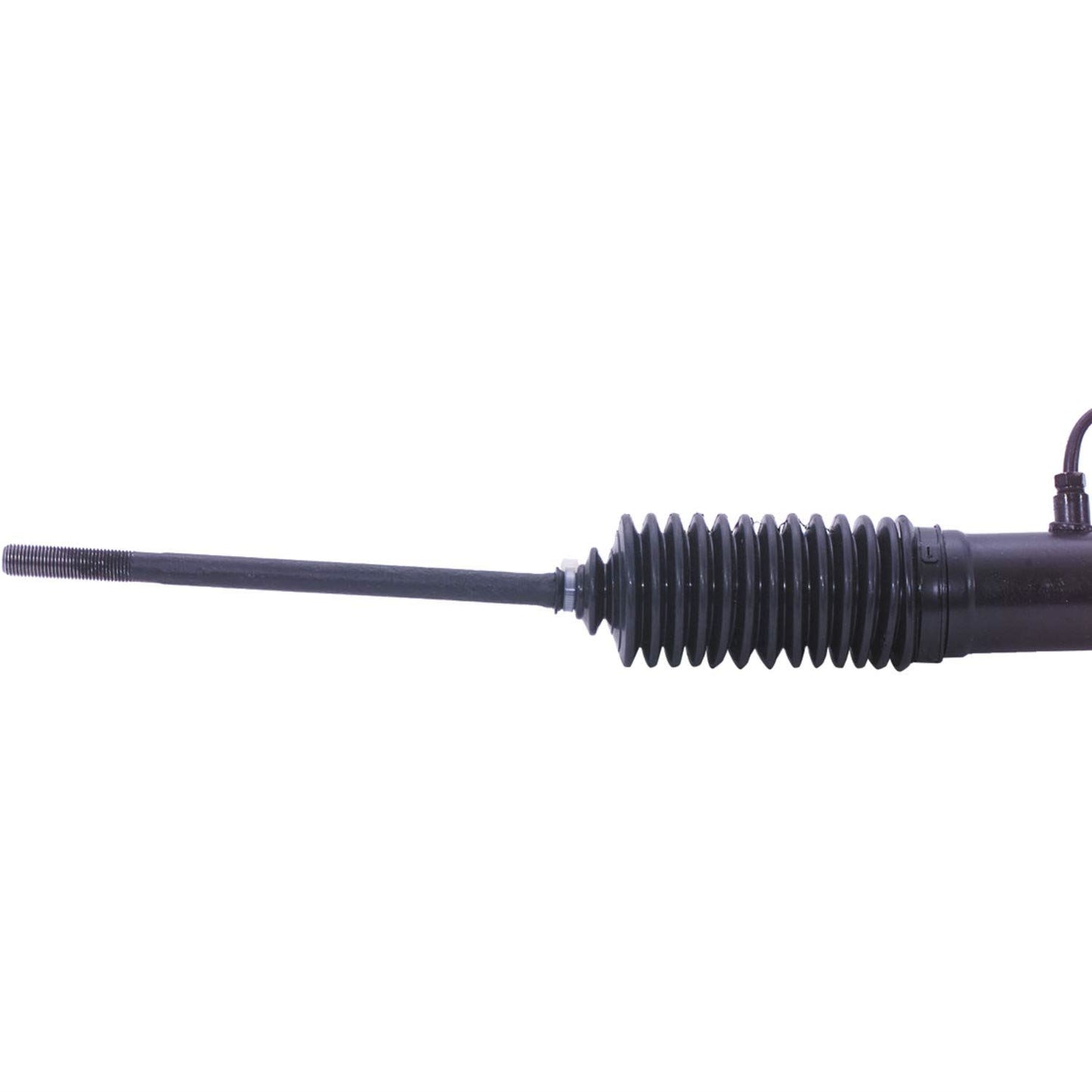 CARDON 261673