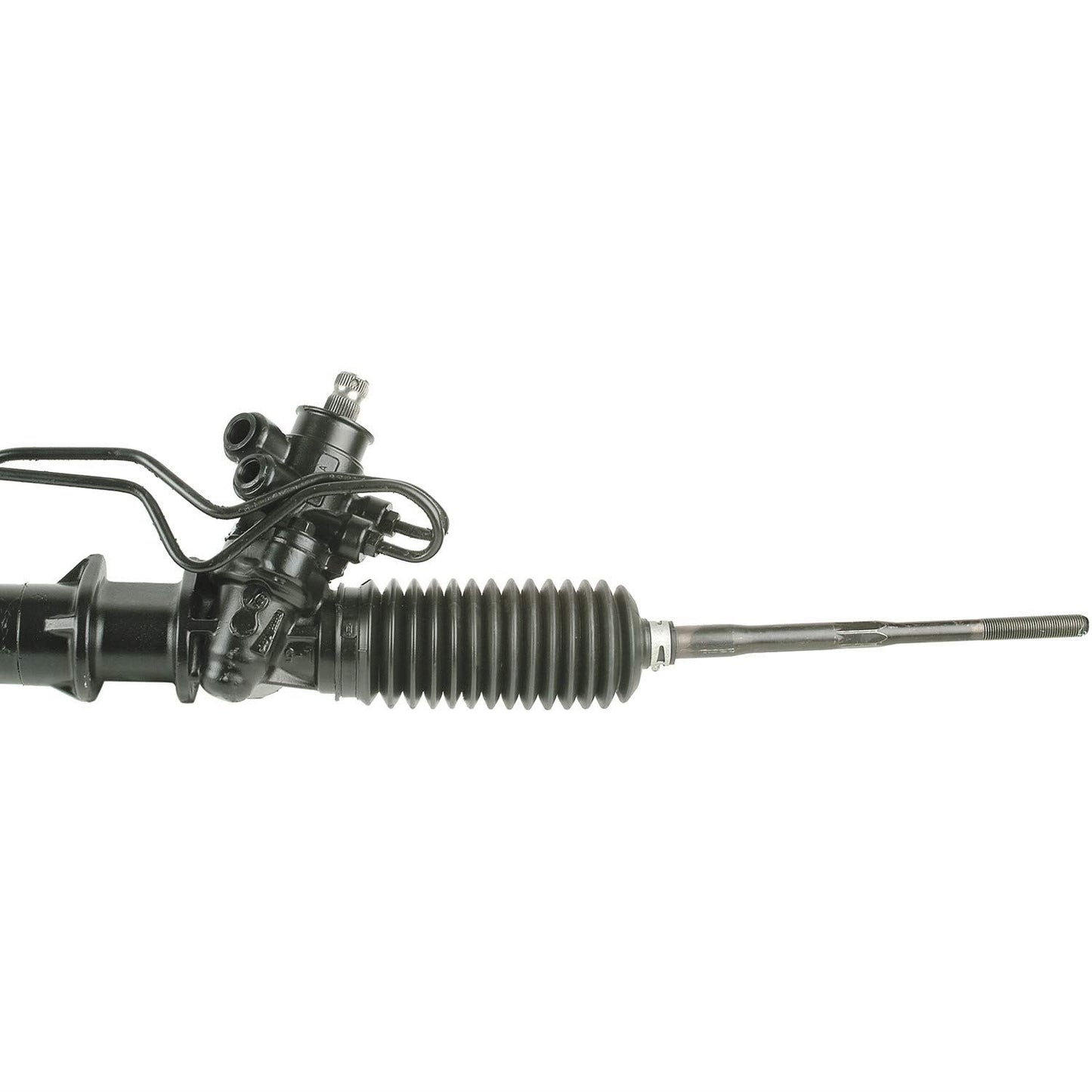 CARDÓN 263012