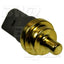 BWD WT7257 Engine Coolant Temperature Sensor
