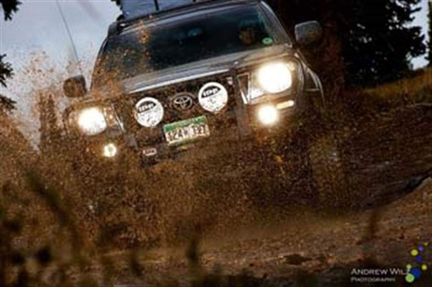 ARB 3423130