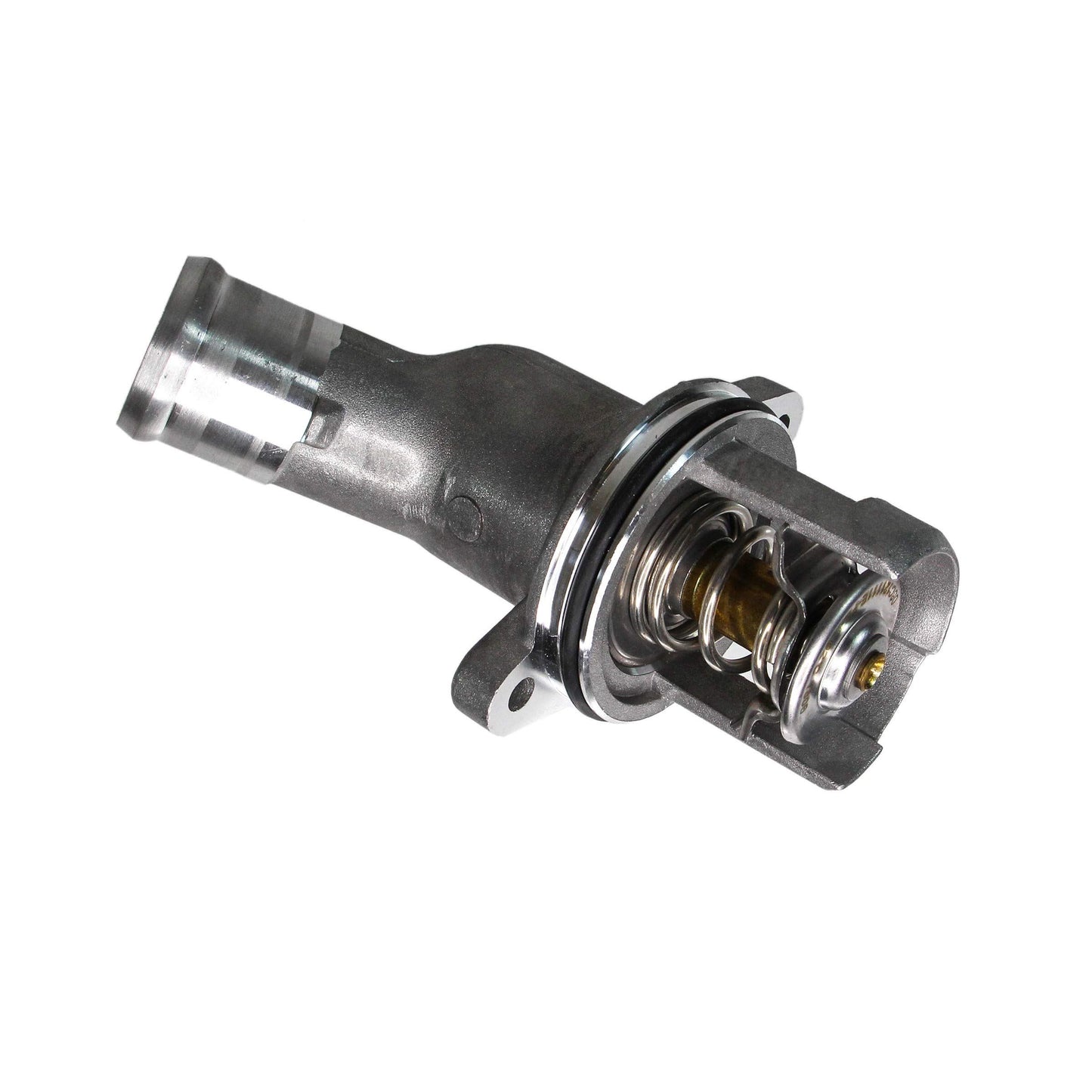 REIN CTA0013
