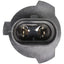 Wagner 9006XS Headlight Bulb