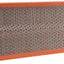 MANN-FILTER C 38 163/1 Air Filter