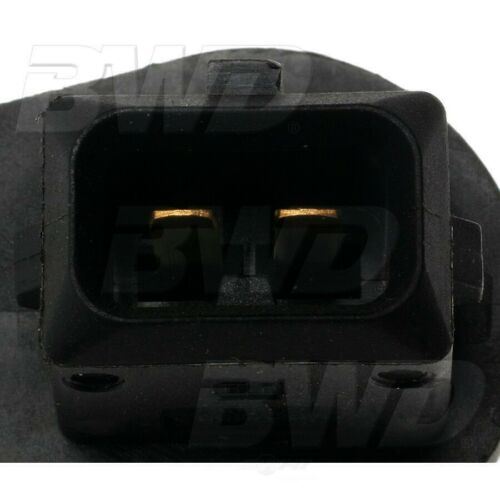 BWDS8246