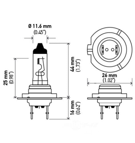 Hella H7 24V DP 