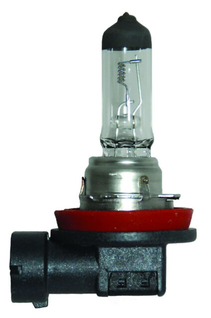 Hella H11 24V 