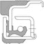 National Seal/Bearing 370036A 